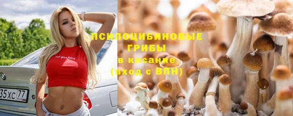 spice Волоколамск