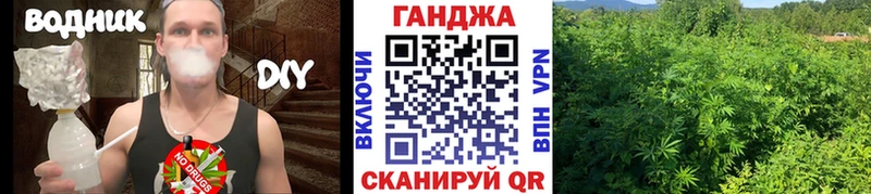 Конопля индика Александровское